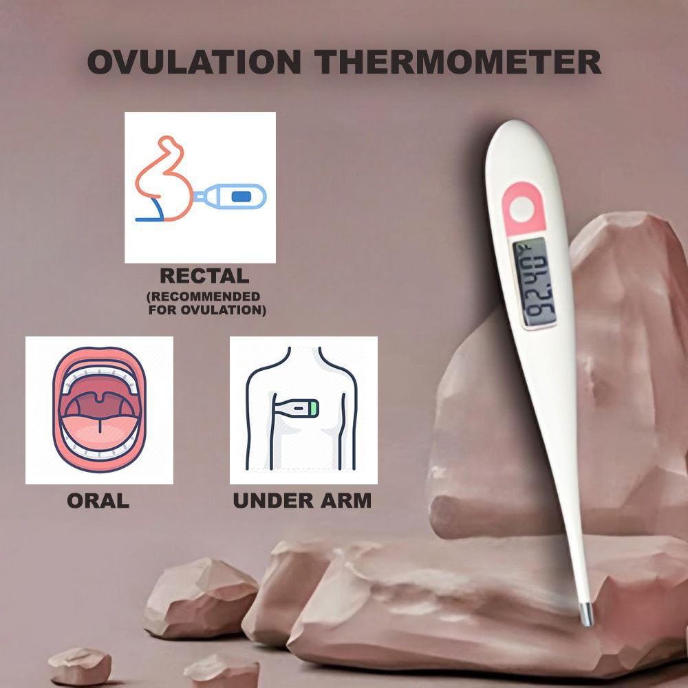 B+Arm Digital Ovulation Thermometer how to use
