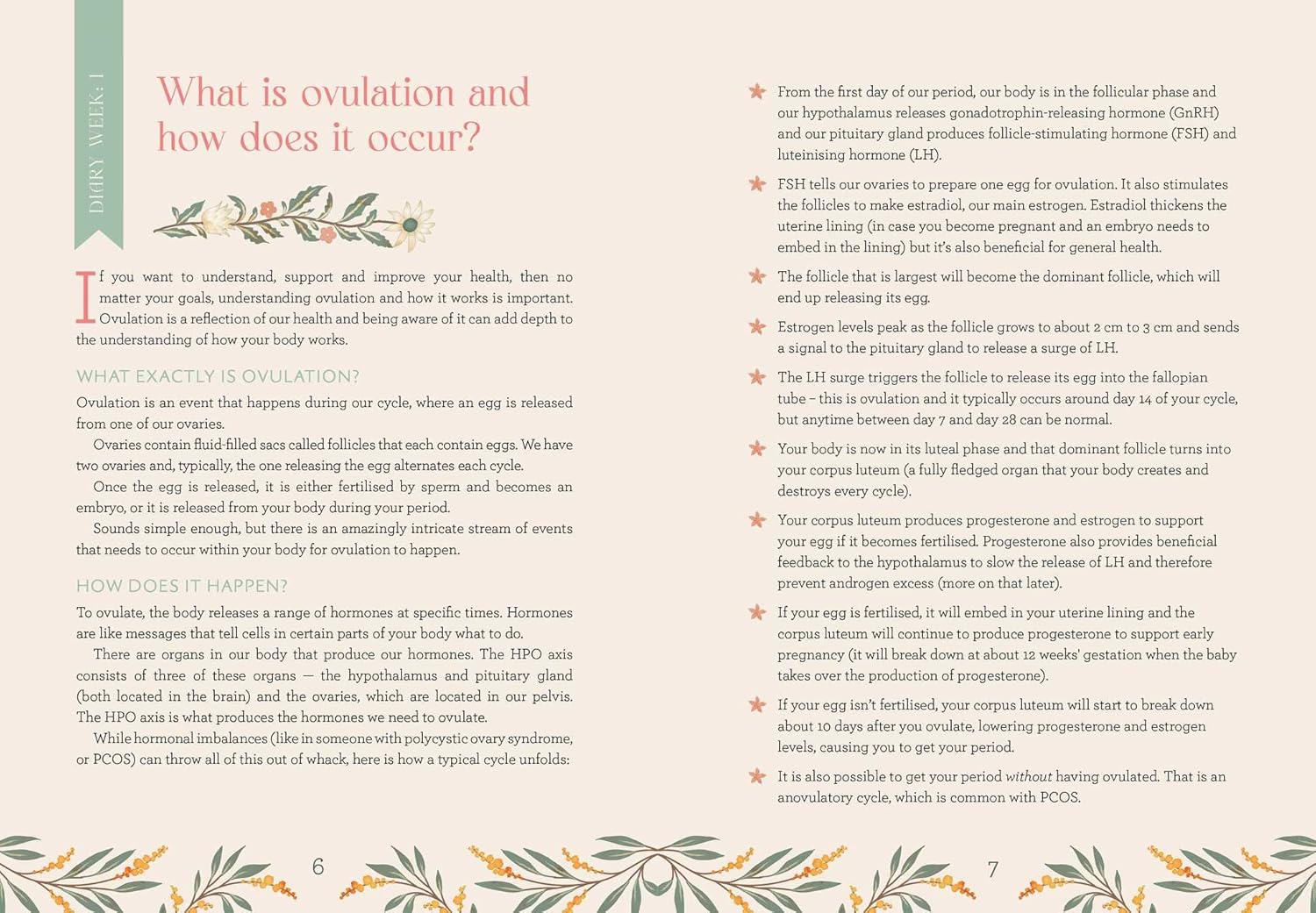 My Wellness Journal information things to know in the book